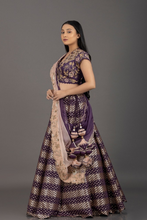 Load image into Gallery viewer, PMS LEHANGA SET - The Pink Gota